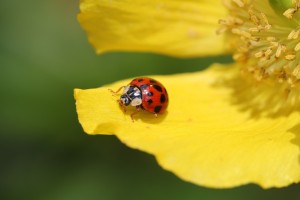 vorsaetze-suedmeyer-tipp-richtig-bewerben