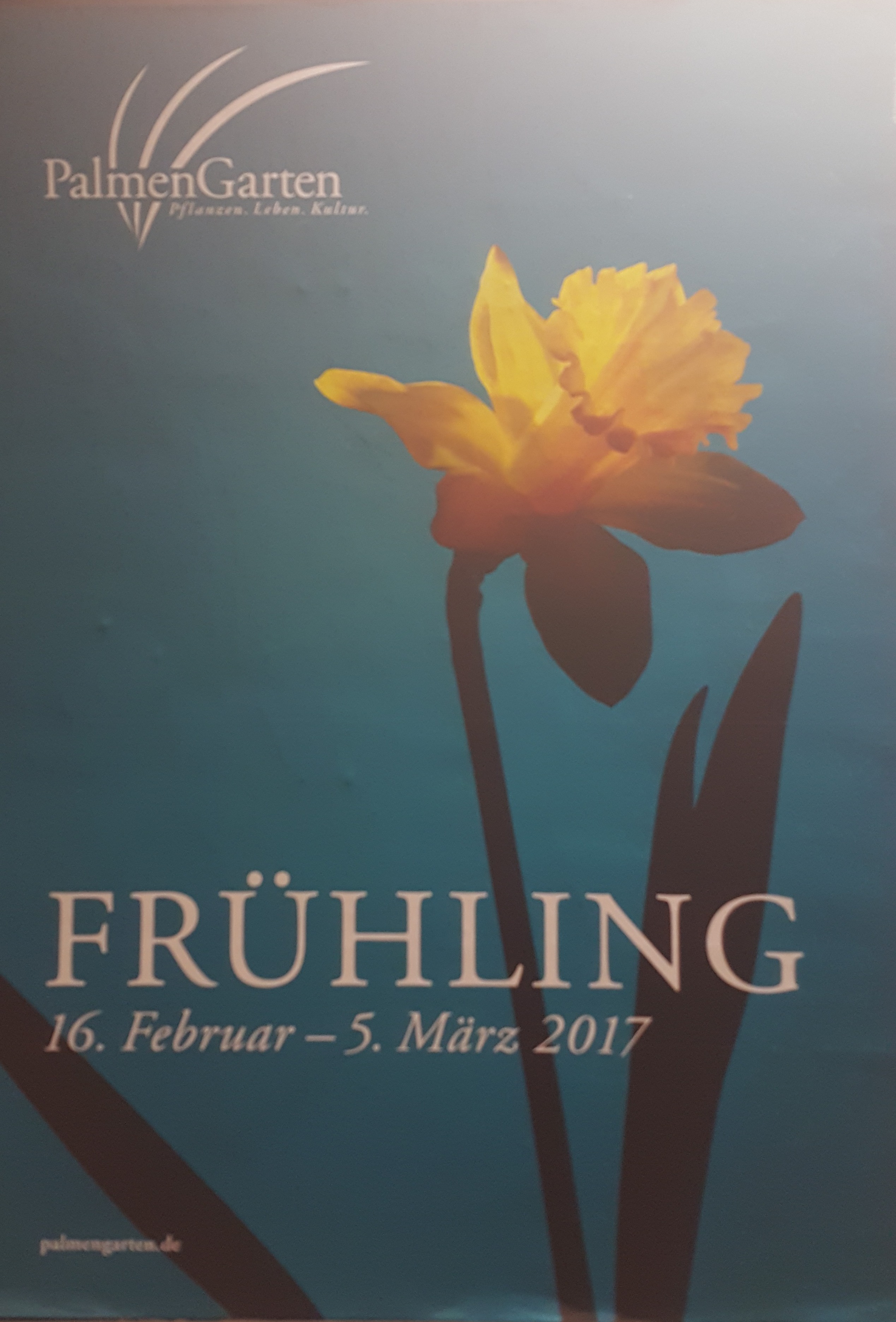 fruehling-palmengarten-frankfurt-coaching-suedmeyer
